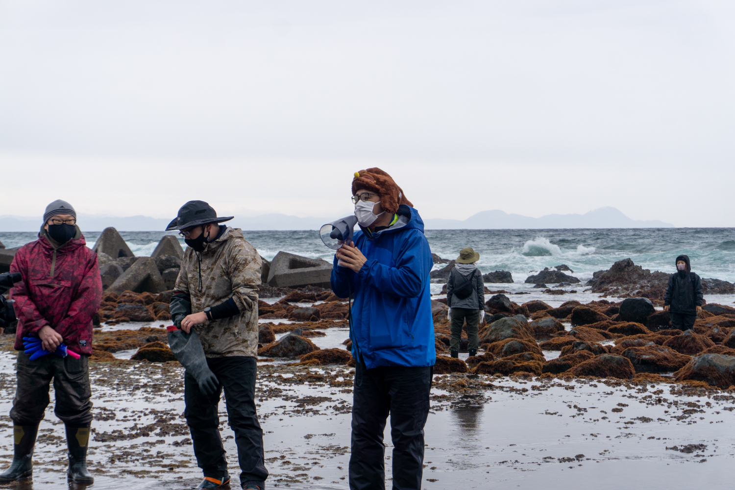 風間浦村「第28回 布海苔採り体験ツアー」
